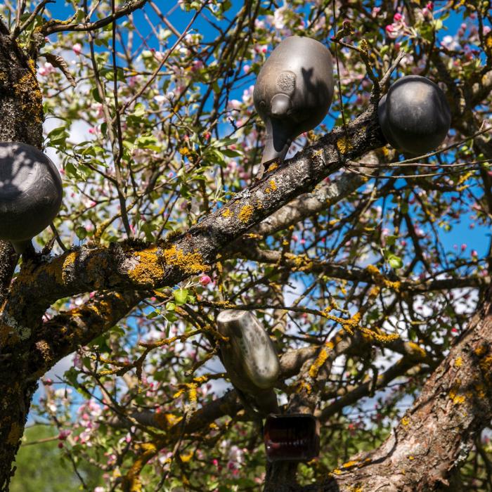 Keramiķa Ilmāra Veceļa ceplis