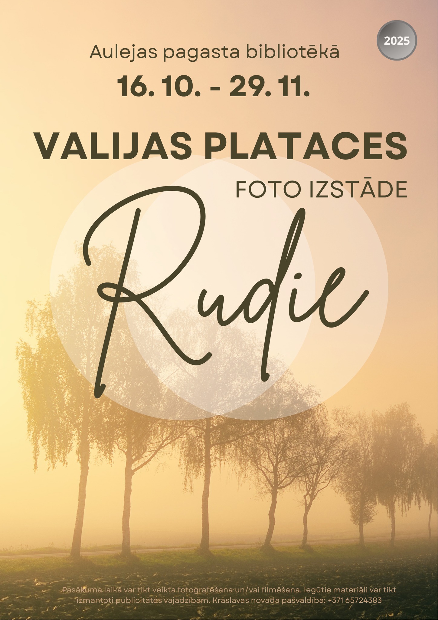 Izstāde Aulejas pagasta bibliotēkā