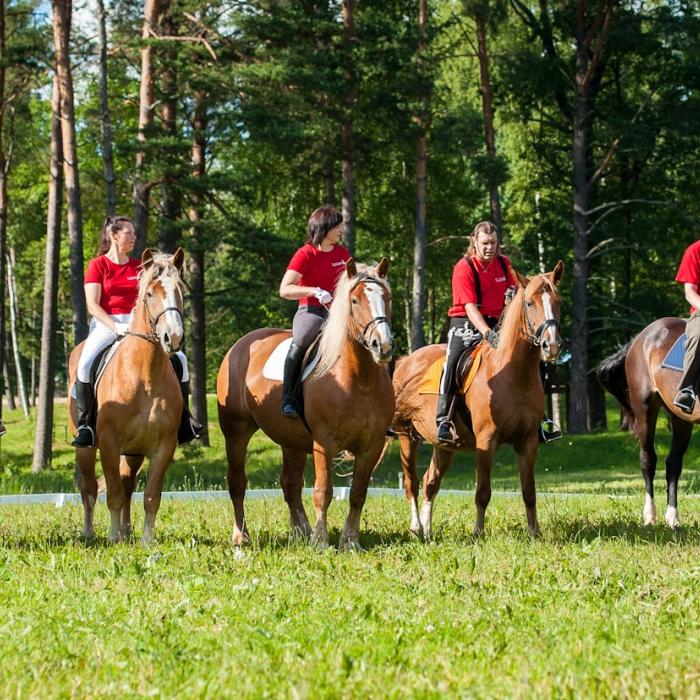 Zirgu sēta "Klajumi"